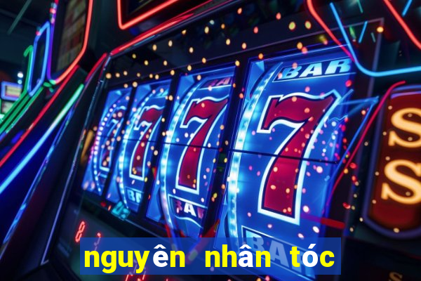 nguyên nhân tóc nhanh bết