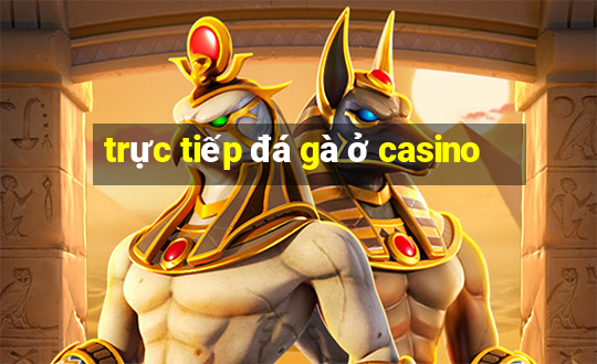 trực tiếp đá gà ở casino