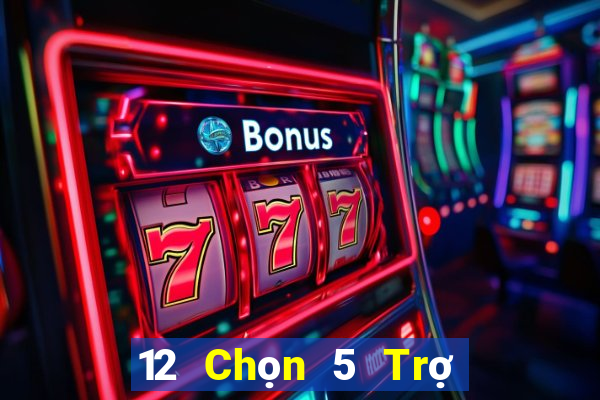 12 Chọn 5 Trợ lý Tải về