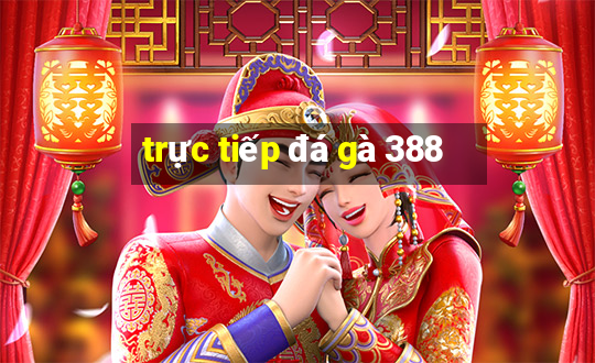 trực tiếp đá gà 388