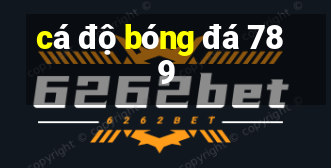 cá độ bóng đá 789