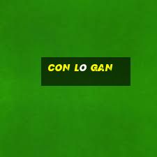 con lô gan