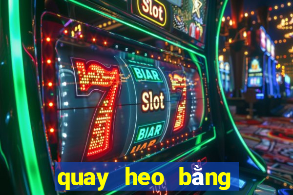 quay heo bằng lò nướng