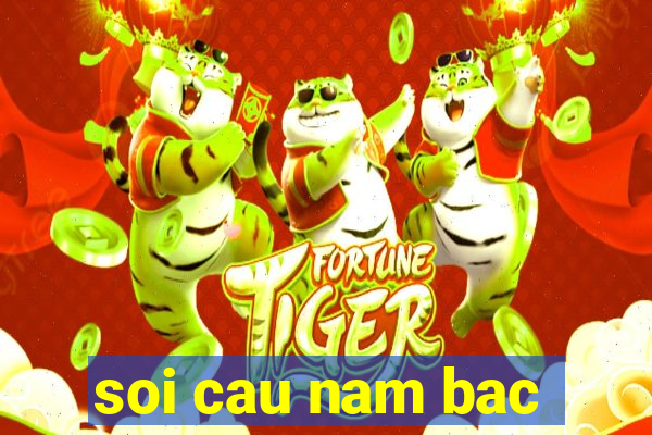 soi cau nam bac