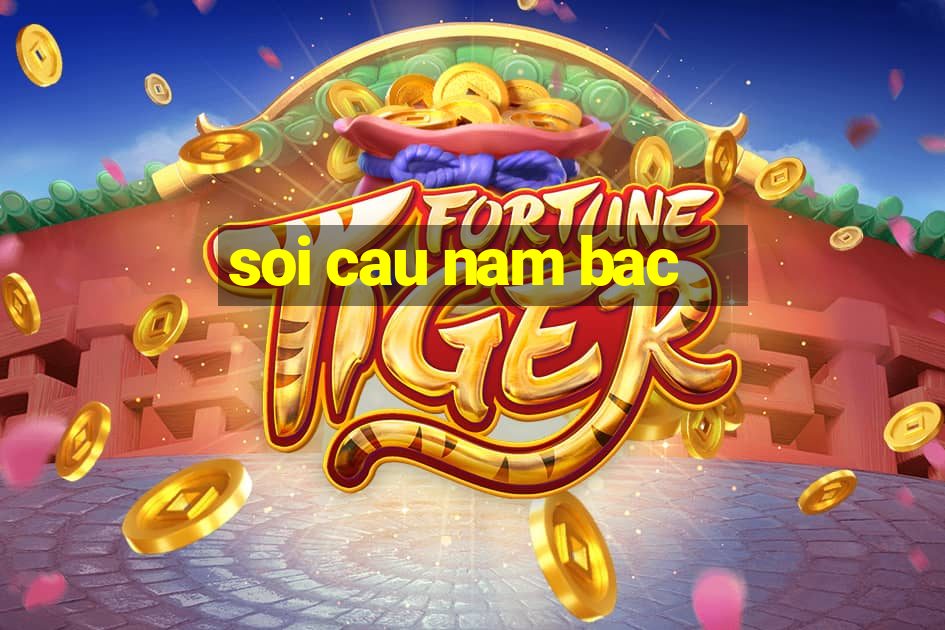 soi cau nam bac