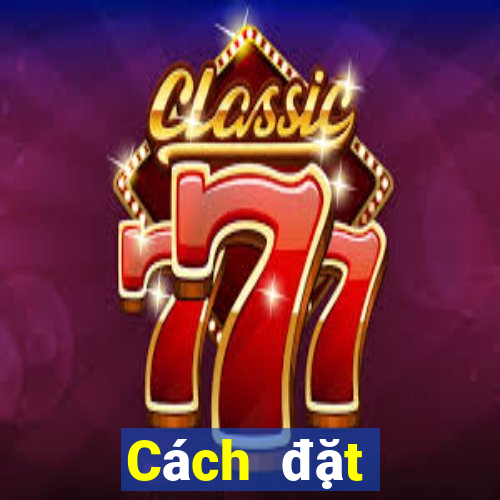 Cách đặt cược XSDNA ngày 29