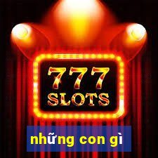 những con gì