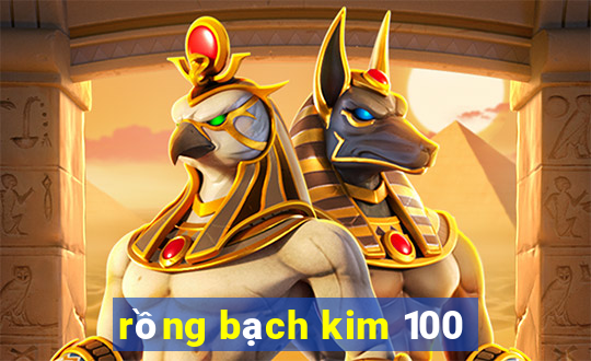 rồng bạch kim 100