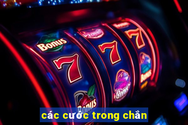 các cước trong chắn