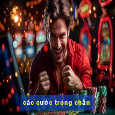 các cước trong chắn