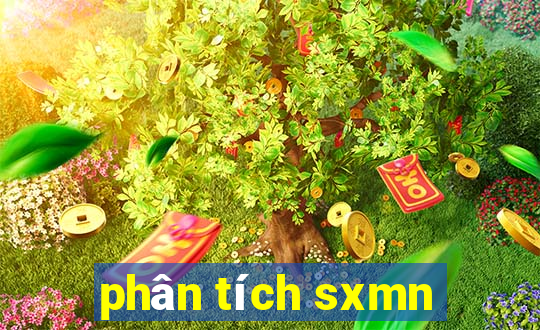 phân tích sxmn