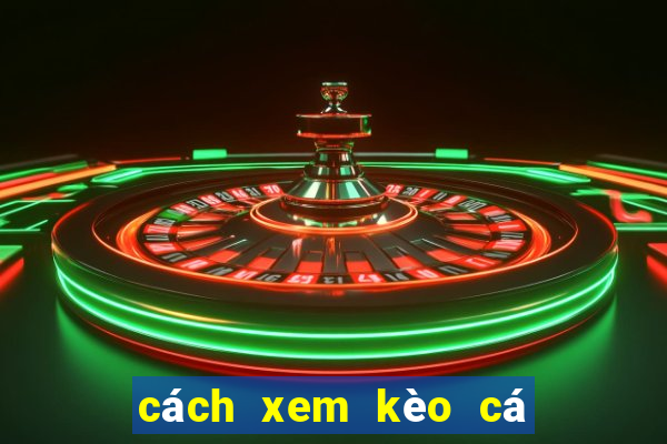 cách xem kèo cá cược bóng đá trên mạng