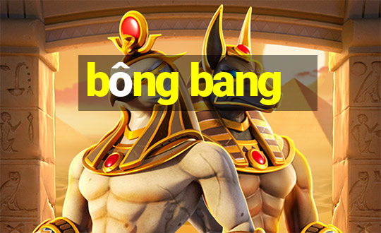 bông bang