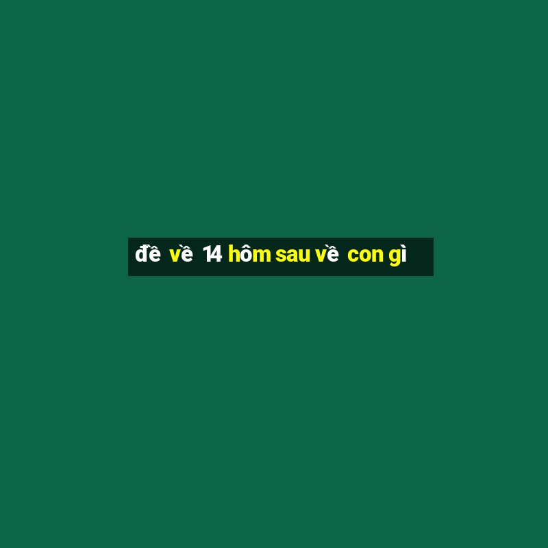 đề về 14 hôm sau về con gì