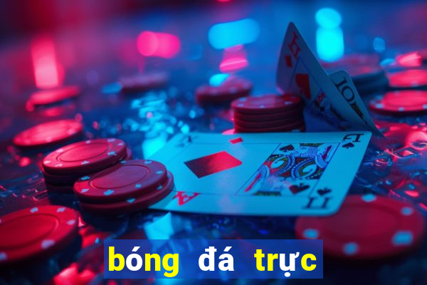 bóng đá trực tiếp mỹ