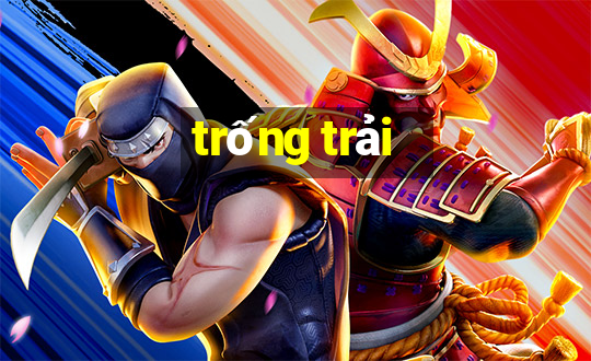 trống trải