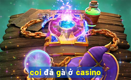 coi đá gà ở casino