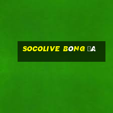 socolive bóng đá