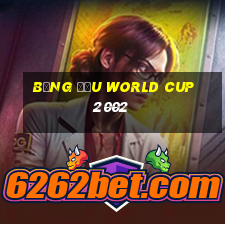 bảng đấu world cup 2002