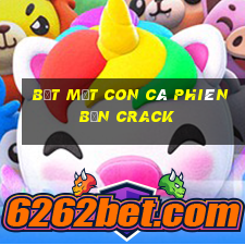 Bắt một con cá phiên bản Crack