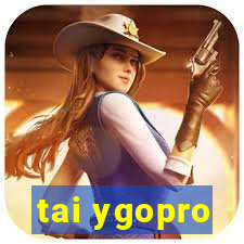 tai ygopro