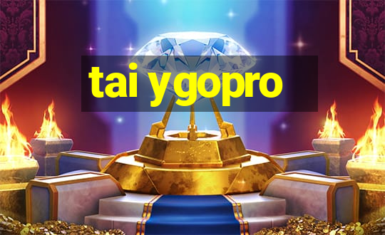 tai ygopro