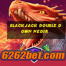 blackjack double down nedir