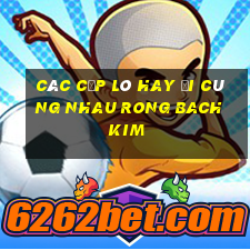 các cặp lô hay đi cùng nhau rong bach kim