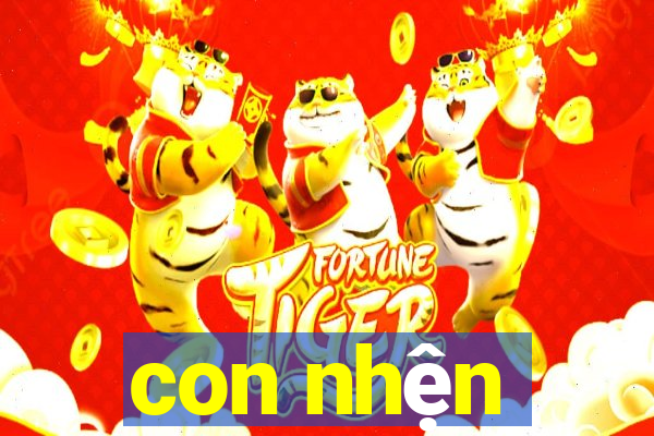 con nhện