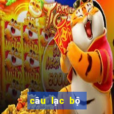 câu lạc bộ kết bạn hà nội