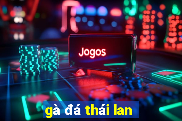 gà đá thái lan