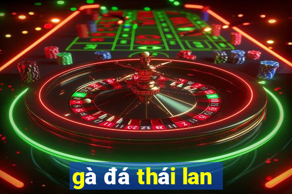 gà đá thái lan