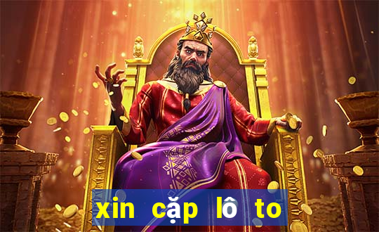 xin cặp lô to xổ số cần thơ