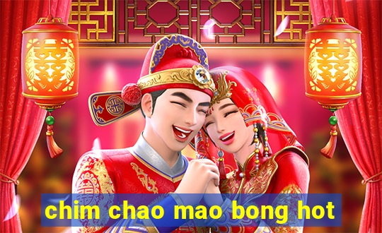 chim chao mao bong hot