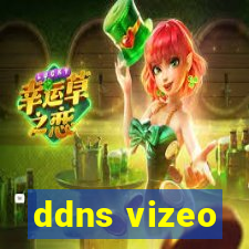 ddns vizeo