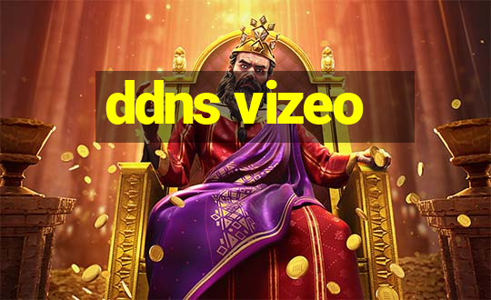 ddns vizeo