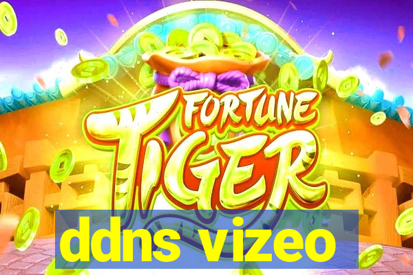 ddns vizeo