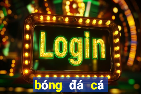 bóng đá cá cược 88