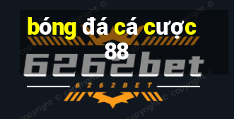 bóng đá cá cược 88