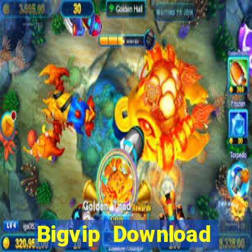 Bigvip Download Game Bài