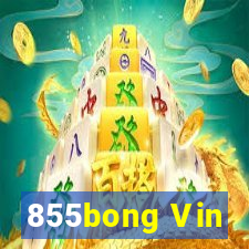 855bong Vin