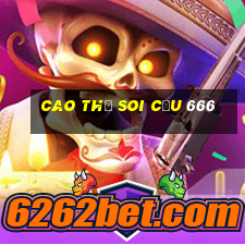 cao thủ soi cầu 666