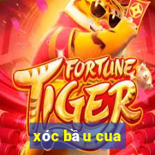 xóc bầu cua