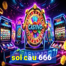 soi cau 666