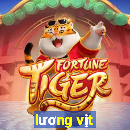 lương vịt