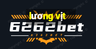 lương vịt