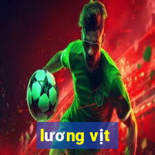 lương vịt