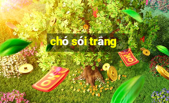 chó sói trắng