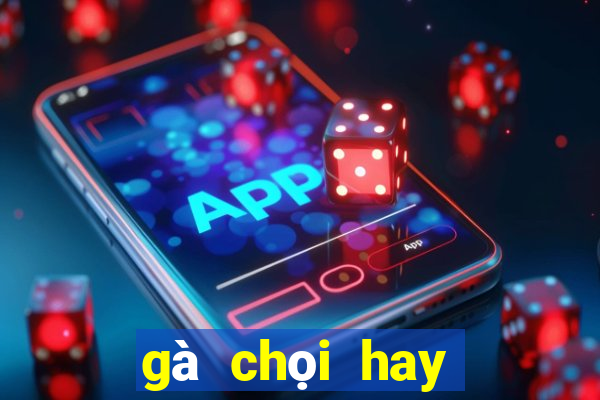 gà chọi hay nhất hiện nay