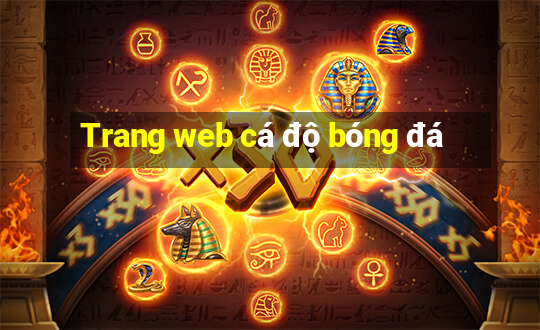 Trang web cá độ bóng đá